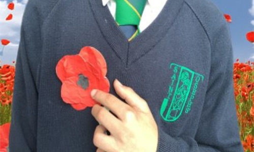 Boy pointing to a poppy